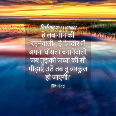 Picture 04 - यिर्मयाह 22:23 HINIRV - हे लबानोन की - Bible Verse Picture