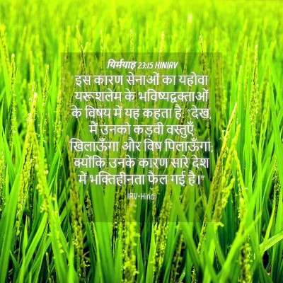 Picture 04 - यिर्मयाह 23:15 HINIRV - इस कारण सेनाओं का - Bible Verse Picture