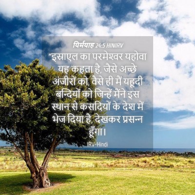 Picture 04 - यिर्मयाह 24:5 HINIRV - “इस्राएल का - Bible Verse Picture