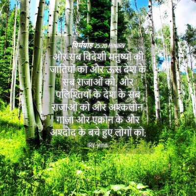 Picture 04 - यिर्मयाह 25:20 HINIRV - और सब विदेशी - Bible Verse Picture