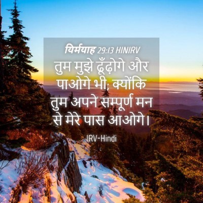 Picture 04 - यिर्मयाह 29:13 HINIRV - तुम मुझे ढूँढ़ोगे - Bible Verse Picture