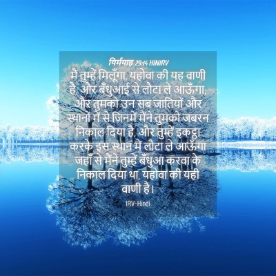 Picture 04 - यिर्मयाह 29:14 HINIRV - मैं तुम्हें - Bible Verse Picture