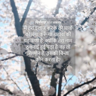 Picture 04 - यिर्मयाह 30:17 HINIRV - मैं तेरा इलाज करके - Bible Verse Picture