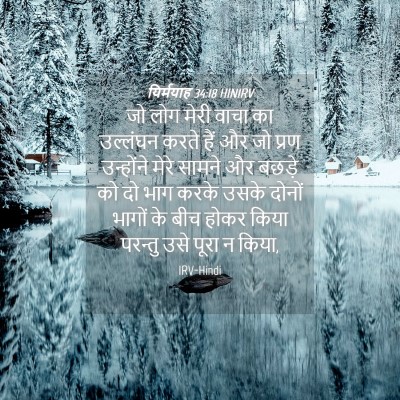Picture 04 - यिर्मयाह 34:18 HINIRV - जो लोग मेरी वाचा का - Bible Verse Picture