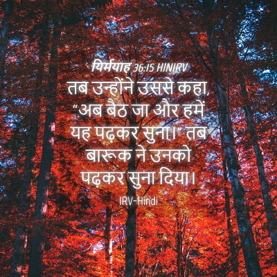 Picture 04 - यिर्मयाह 36:15 HINIRV - तब उन्होंने उससे - Bible Verse Picture
