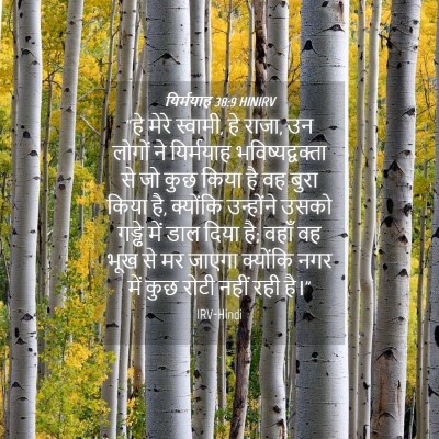 Picture 04 - यिर्मयाह 38:9 HINIRV - “हे मेरे स्वामी, हे - Bible Verse Picture