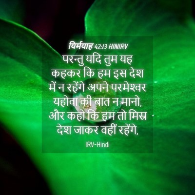 Picture 04 - यिर्मयाह 42:13 HINIRV - परन्तु यदि तुम यह - Bible Verse Picture