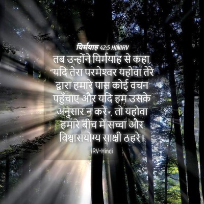 Picture 04 - यिर्मयाह 42:5 HINIRV - तब उन्होंने - Bible Verse Picture