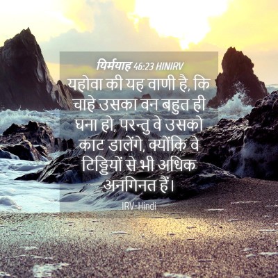 Picture 04 - यिर्मयाह 46:23 HINIRV - यहोवा की यह वाणी - Bible Verse Picture