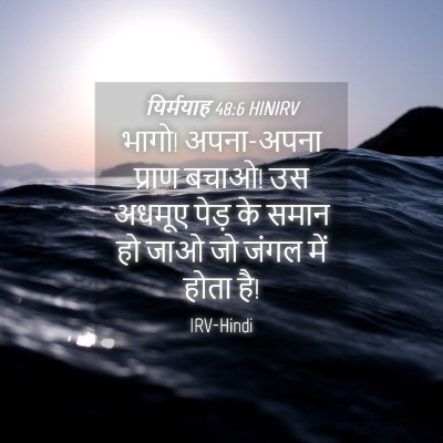 Picture 04 - यिर्मयाह 48:6 HINIRV - भागो! अपना-अपना - Bible Verse Picture