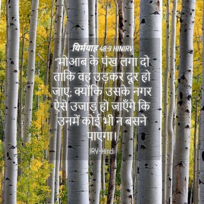 Picture 04 - यिर्मयाह 48:9 HINIRV - “मोआब के पंख लगा दो - Bible Verse Picture