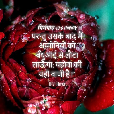 Picture 04 - यिर्मयाह 49:6 HINIRV - परन्तु उसके बाद - Bible Verse Picture