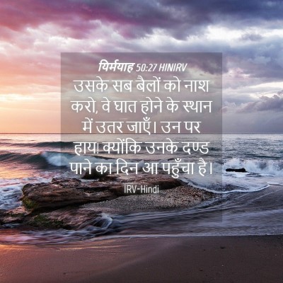 Picture 04 - यिर्मयाह 50:27 HINIRV - उसके सब बैलों को - Bible Verse Picture