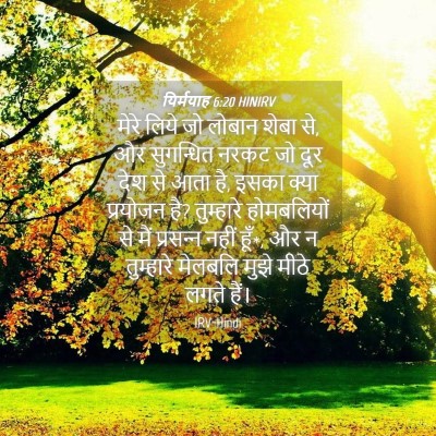 Picture 04 - यिर्मयाह 6:20 HINIRV - मेरे लिये जो लोबान - Bible Verse Picture
