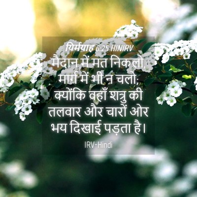 Picture 04 - यिर्मयाह 6:25 HINIRV - मैदान में मत निकलो, - Bible Verse Picture