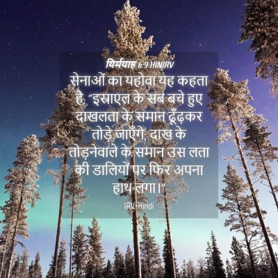 Picture 04 - यिर्मयाह 6:9 HINIRV - सेनाओं का यहोवा यह - Bible Verse Picture