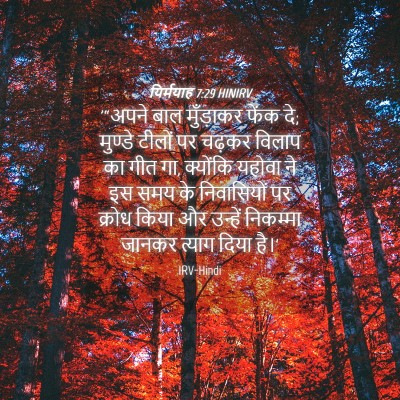 Picture 04 - यिर्मयाह 7:29 HINIRV - '“अपने बाल - Bible Verse Picture