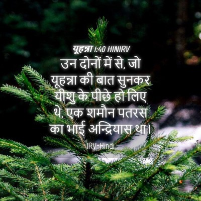 Picture 04 - यूहन्ना 1:40 HINIRV - उन दोनों में से, जो - Bible Verse Picture