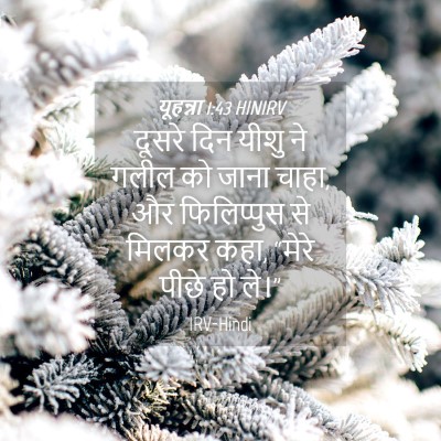 Picture 04 - यूहन्ना 1:43 HINIRV - दूसरे दिन यीशु ने - Bible Verse Picture