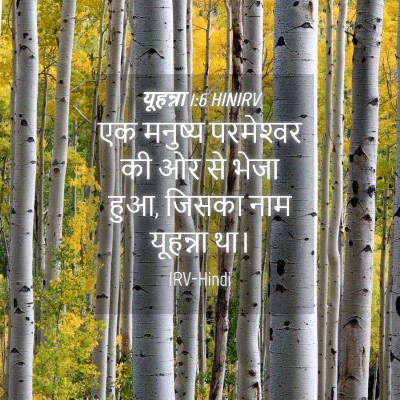 Picture 04 - यूहन्ना 1:6 HINIRV - एक मनुष्य - Bible Verse Picture