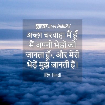 Picture 04 - यूहन्ना 10:14 HINIRV - अच्छा चरवाहा मैं - Bible Verse Picture