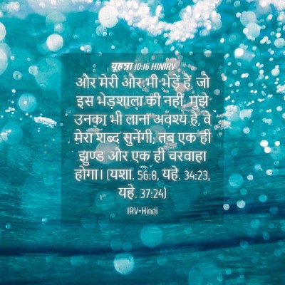Picture 04 - यूहन्ना 10:16 HINIRV - और मेरी और भी - Bible Verse Picture