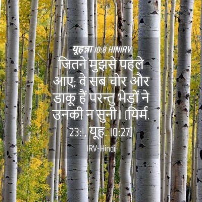 Picture 04 - यूहन्ना 10:8 HINIRV - जितने मुझसे पहले - Bible Verse Picture