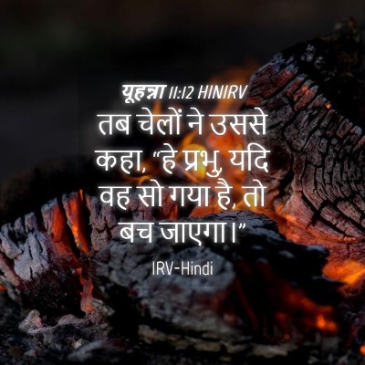 Picture 04 - यूहन्ना 11:12 HINIRV - तब चेलों ने उससे - Bible Verse Picture