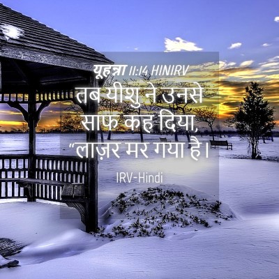 Picture 04 - यूहन्ना 11:14 HINIRV - तब यीशु ने उनसे साफ - Bible Verse Picture