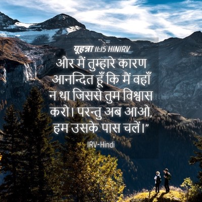 Picture 04 - यूहन्ना 11:15 HINIRV - और मैं तुम्हारे - Bible Verse Picture