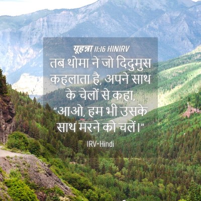 Picture 04 - यूहन्ना 11:16 HINIRV - तब थोमा ने जो - Bible Verse Picture