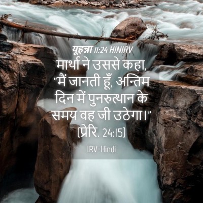 Picture 04 - यूहन्ना 11:24 HINIRV - मार्था ने उससे कहा, - Bible Verse Picture
