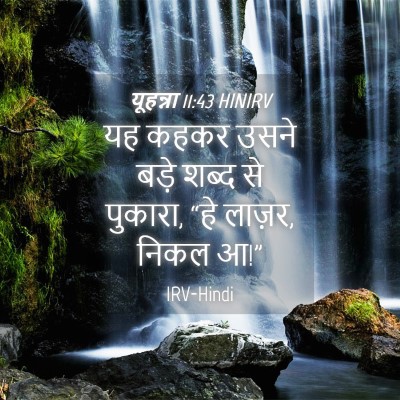 Picture 04 - यूहन्ना 11:43 HINIRV - यह कहकर उसने बड़े - Bible Verse Picture