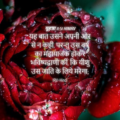 Picture 04 - यूहन्ना 11:51 HINIRV - यह बात उसने अपनी ओर - Bible Verse Picture