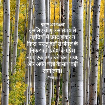 Picture 04 - यूहन्ना 11:54 HINIRV - इसलिए यीशु उस समय - Bible Verse Picture