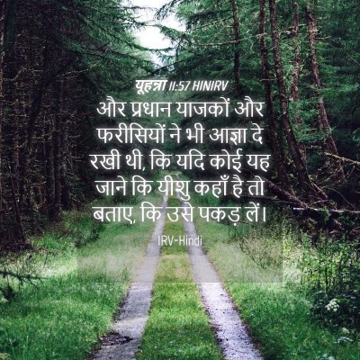 Picture 04 - यूहन्ना 11:57 HINIRV - और प्रधान याजकों - Bible Verse Picture