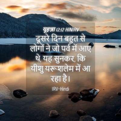 Picture 04 - यूहन्ना 12:12 HINIRV - दूसरे दिन बहुत से - Bible Verse Picture