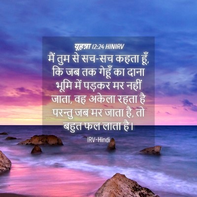Picture 04 - यूहन्ना 12:24 HINIRV - मैं तुम से सच-सच - Bible Verse Picture