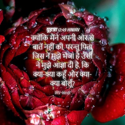 Picture 04 - यूहन्ना 12:49 HINIRV - क्योंकि मैंने - Bible Verse Picture