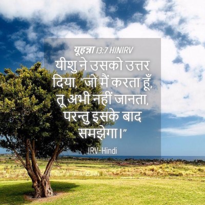 Picture 04 - यूहन्ना 13:7 HINIRV - यीशु ने उसको उत्तर - Bible Verse Picture