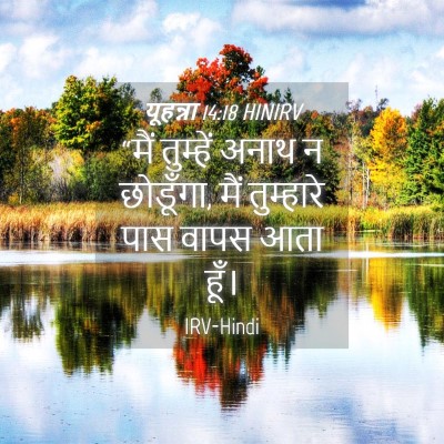 Picture 04 - यूहन्ना 14:18 HINIRV - “मैं तुम्हें अनाथ - Bible Verse Picture