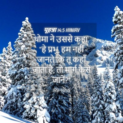 Picture 04 - यूहन्ना 14:5 HINIRV - थोमा ने उससे कहा, - Bible Verse Picture