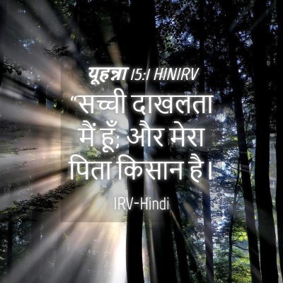 Picture 04 - यूहन्ना 15:1 HINIRV - “सच्ची दाखलता मैं - Bible Verse Picture