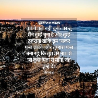 Picture 04 - यूहन्ना 15:16 HINIRV - तुम ने मुझे नहीं - Bible Verse Picture