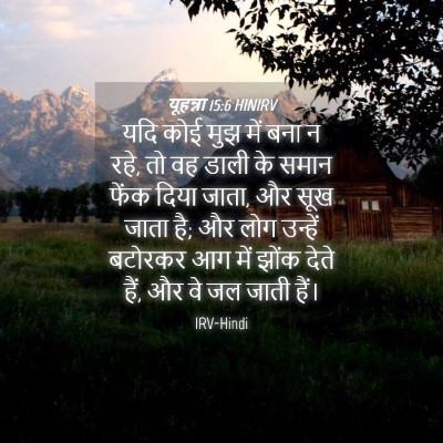 Picture 04 - यूहन्ना 15:6 HINIRV - यदि कोई मुझ में बना - Bible Verse Picture