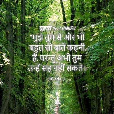 Picture 04 - यूहन्ना 16:12 HINIRV - “मुझे तुम से और भी - Bible Verse Picture