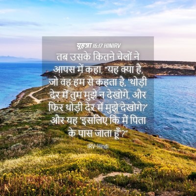 Picture 04 - यूहन्ना 16:17 HINIRV - तब उसके कितने - Bible Verse Picture