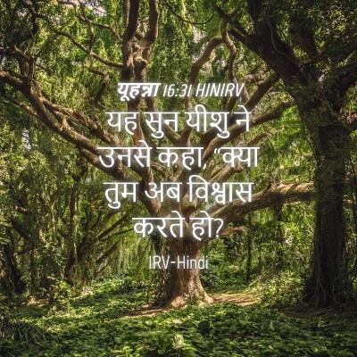 Picture 04 - यूहन्ना 16:31 HINIRV - यह सुन यीशु ने उनसे - Bible Verse Picture