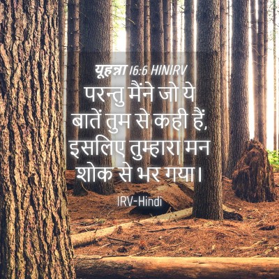 Picture 04 - यूहन्ना 16:6 HINIRV - परन्तु मैंने जो ये - Bible Verse Picture