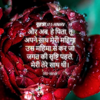 Picture 04 - यूहन्ना 17:5 HINIRV - और अब, हे पिता, तू - Bible Verse Picture